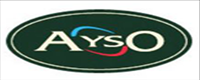 AYSO GIDA Electronic Scale Appliances