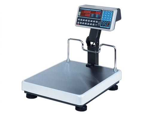 Price Computing Tem Scale 150 kg 45x45 cm